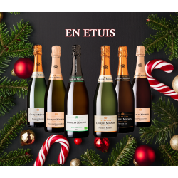 ---- CARTON DÉCOUVERTE ----