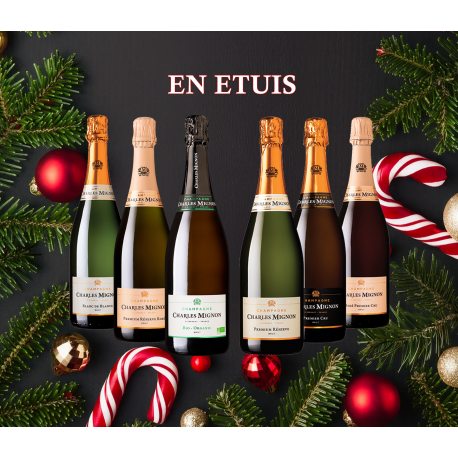 ---- CARTON DÉCOUVERTE ----